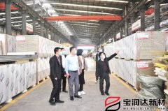 砥礪前行-湯陰縣領(lǐng)導(dǎo)一行蒞臨寶潤(rùn)達(dá)進(jìn)行調(diào)研